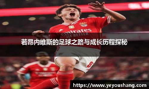 bsports登录入口