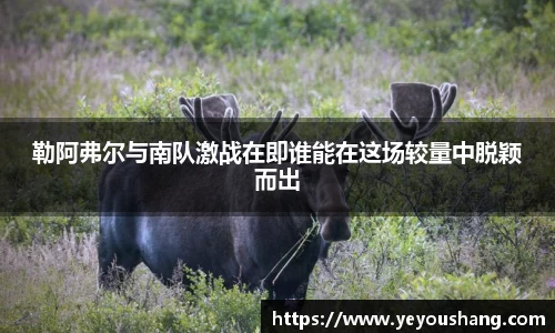 勒阿弗尔与南队激战在即谁能在这场较量中脱颖而出